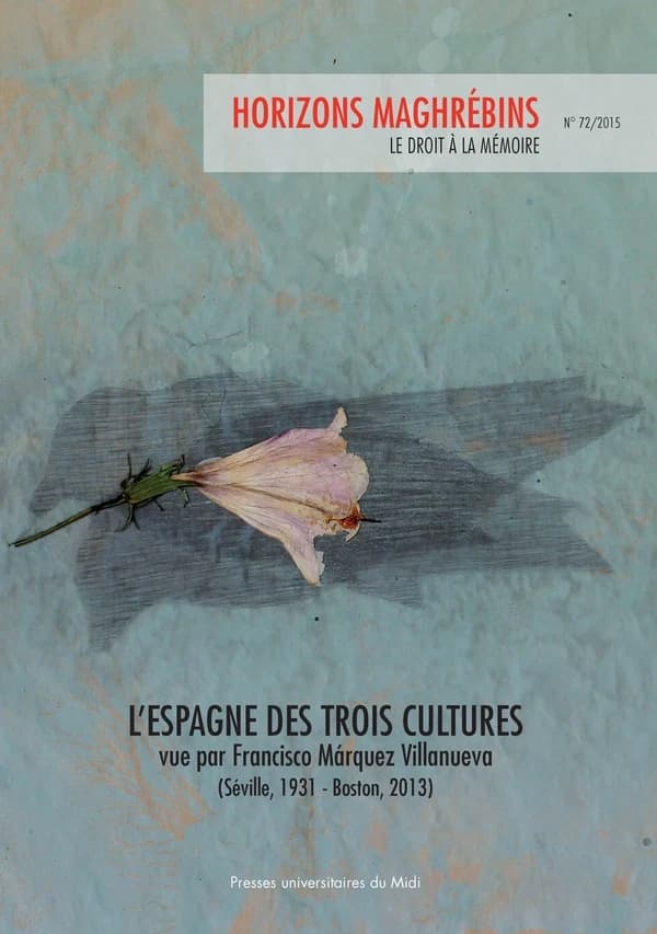 REVUE HORIZONS MAGHREBINS n.67 : héritage de l'Espagne des trois cultures juifs, chrétiens, musulmans