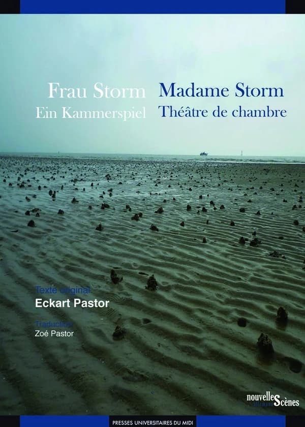 Frau Storm : ein Kammerspiel