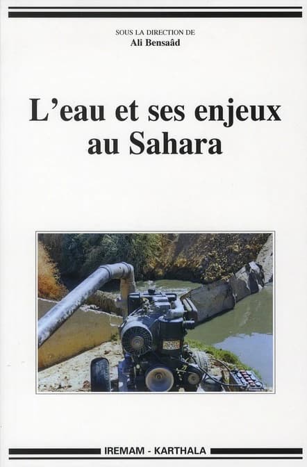 L'eau et ses enjeux au Sahara