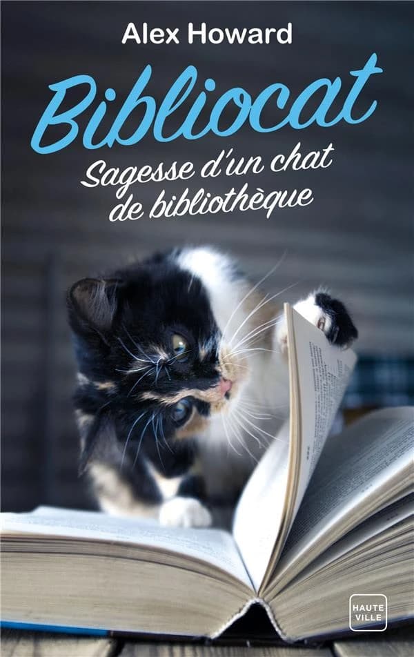 Bibliocat : sagesse d'un chat de bibliothèque