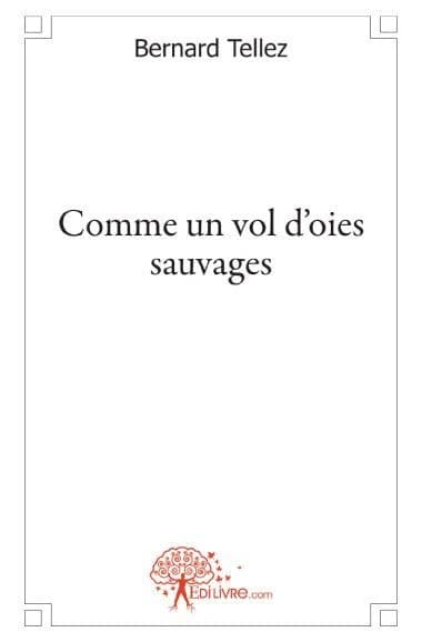 Comme un vol d'oies sauvages