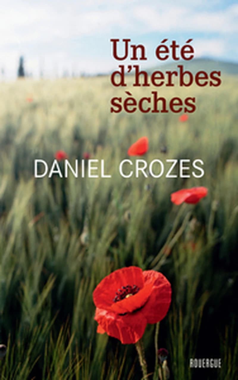 Un été d'herbes sèches : roman