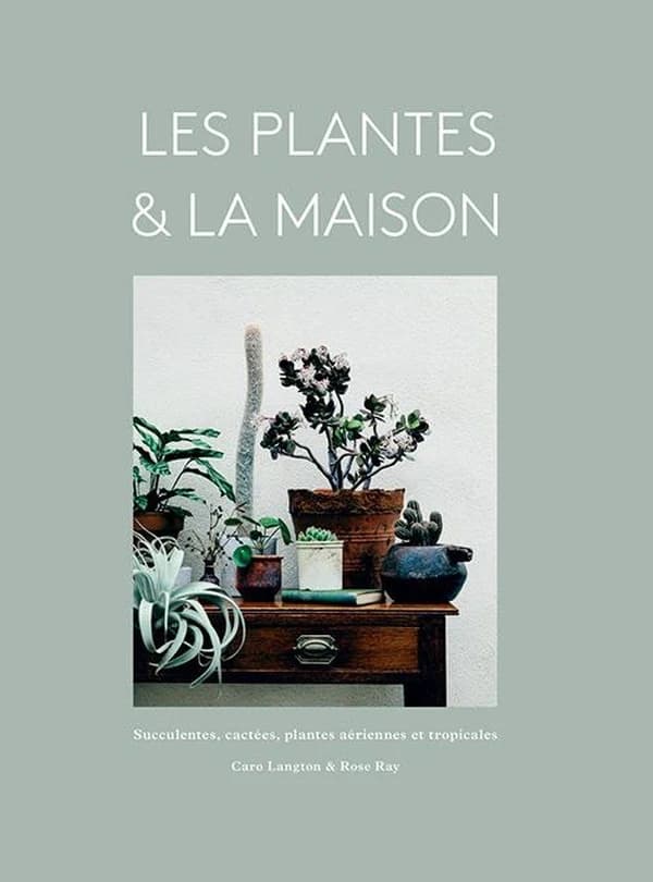 Les plantes & la maison : succulentes, cactées, plantes aériennes et tropicales