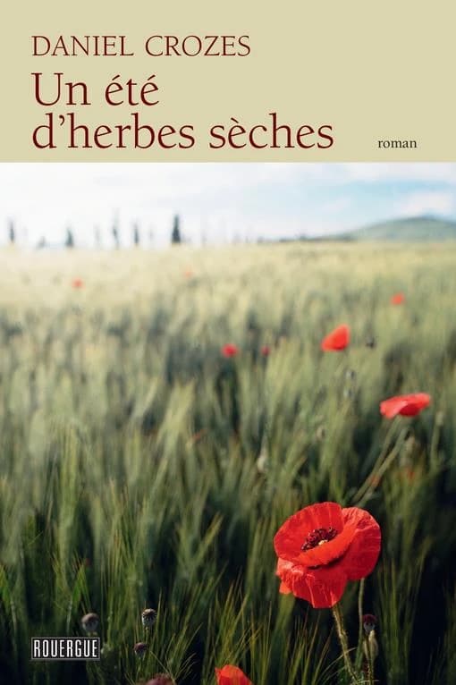 Un été d'herbes sèches : roman
