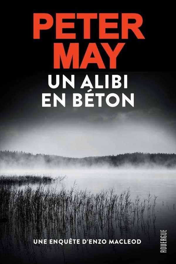 Un alibi en béton : roman