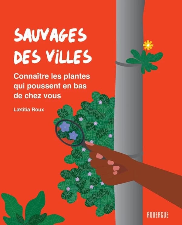 Sauvages des villes : Connaître les plantes qui poussent en bas de chez vous