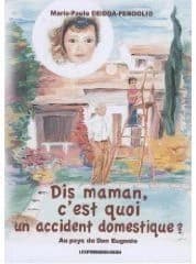 Dis maman, c'est quoi un accident domestique ? : au pays de don Eugenio