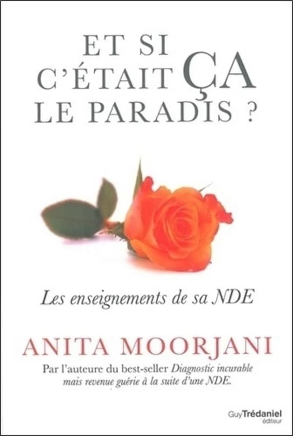 Et si c'était ça le paradis ? : les enseignements de sa NDE