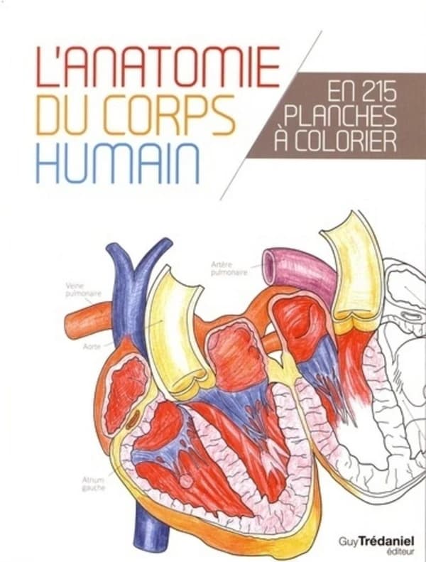 L'anatomie du corps humain ; en 215 planches à colorier