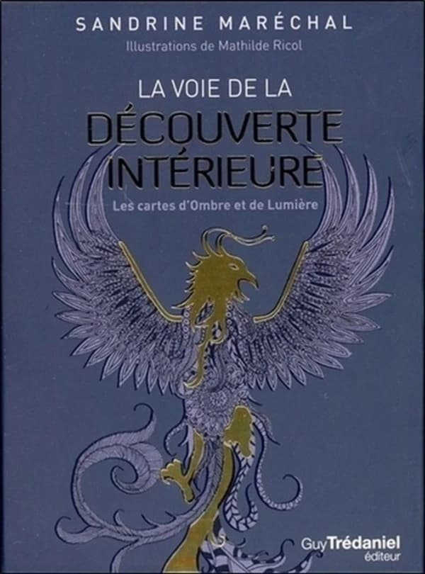 La voie de la découverte intérieure ; les cartes de l'ombre et de la lumière