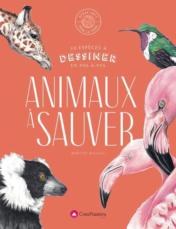 Animaux à sauver ; 30 espèces menacées à dessiner en pas-à-pas