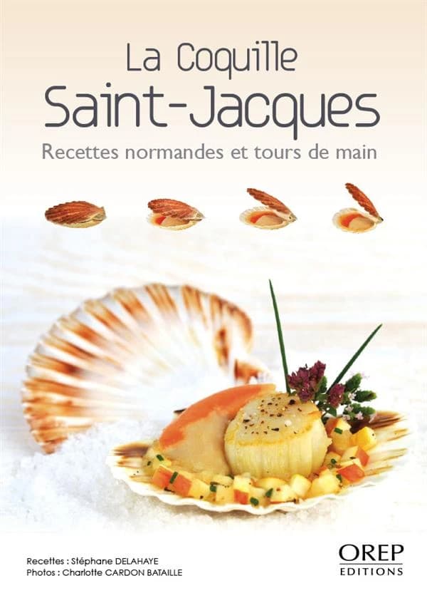 La coquille Saint-Jacques : recettes normandes et tours de main