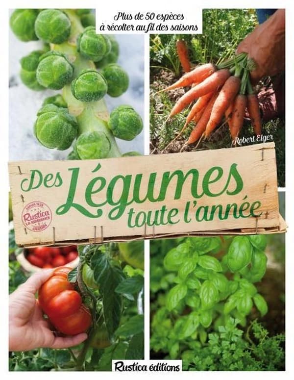 Des légumes toute l'année : 70 espèces à récolter au fil des saisons