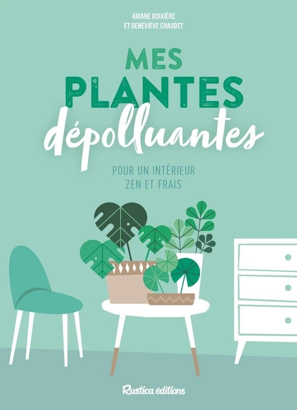 Mes plantes dépolluantes