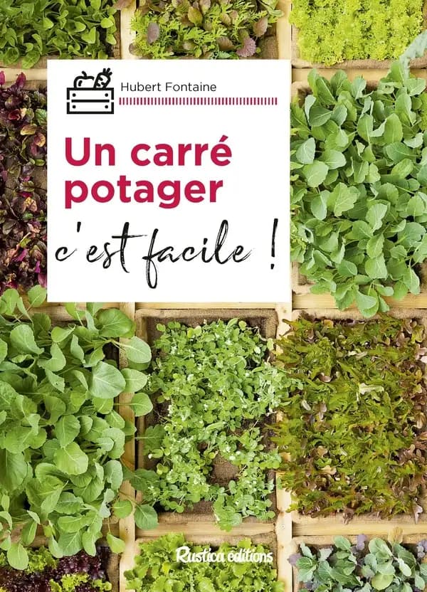 Un carré potager