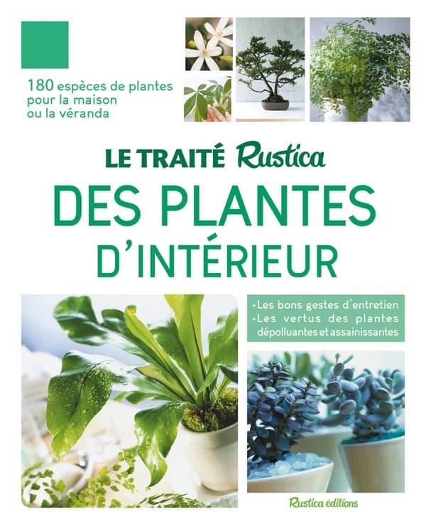 Les plantes d'intérieur