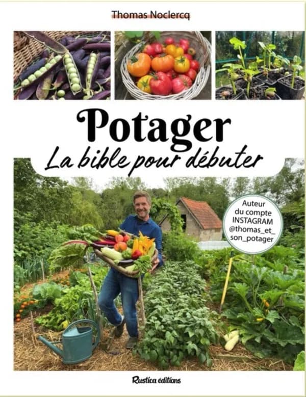 Potager : la bible pour débuter