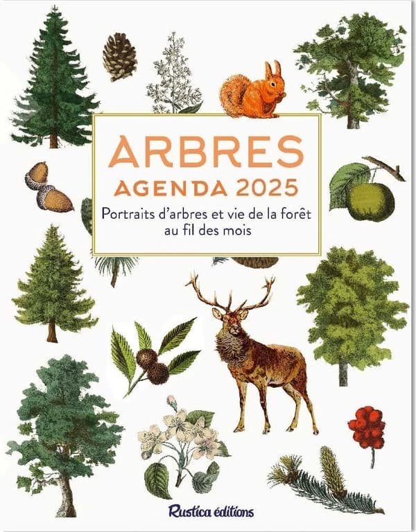 Agenda des arbres : Portraits d'arbres et vie de la forêt au fil des mois
