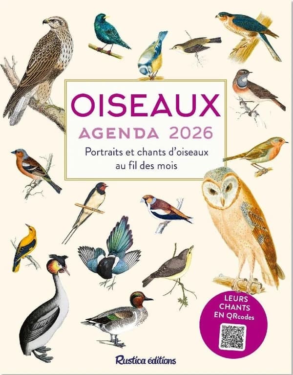 Oiseaux agenda : Portraits et chants d'oiseaux au fil des mois
