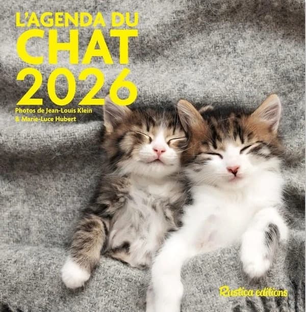 Agenda du chat