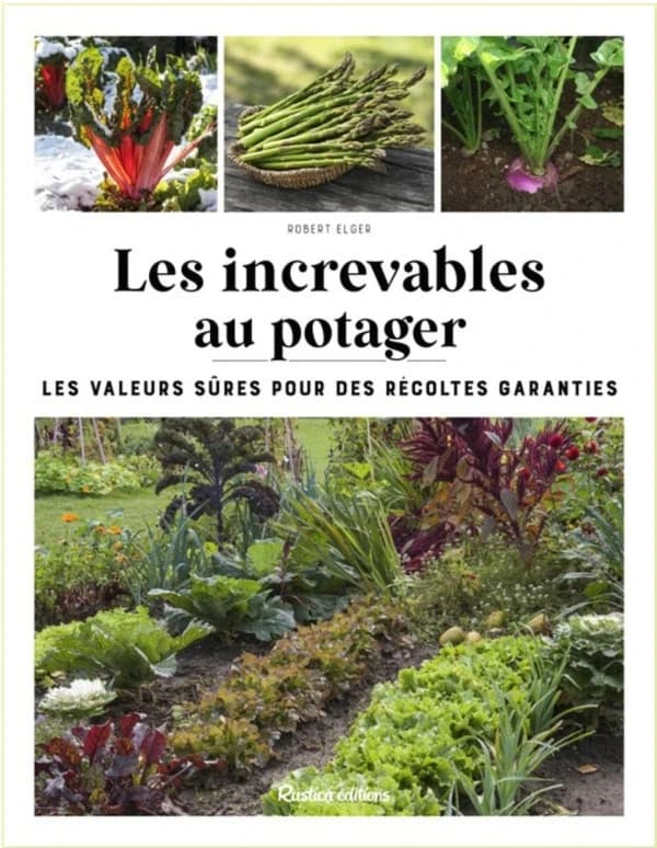 Les increvables au potager : les valeurs sûres pour des récoltes garanties