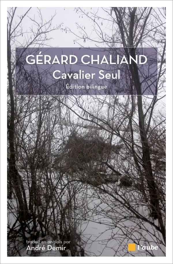 Cavalier seul ; précédé de La marche têtue ; et de Feu nomade (Éd. bilingue) Gérard Chaliand ; présentation par Claude Burgelin ; traduit.. [en] anglais par André Demir