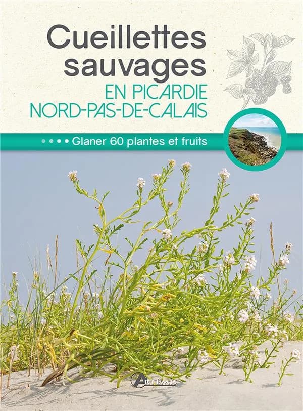 Cueillettes sauvages en Picardie Nord-Pas-de-Calais : 60 plantes et fruits à glaner