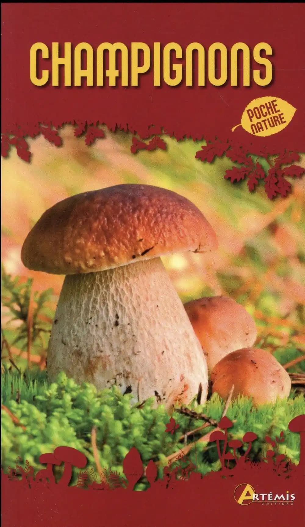 Champignons