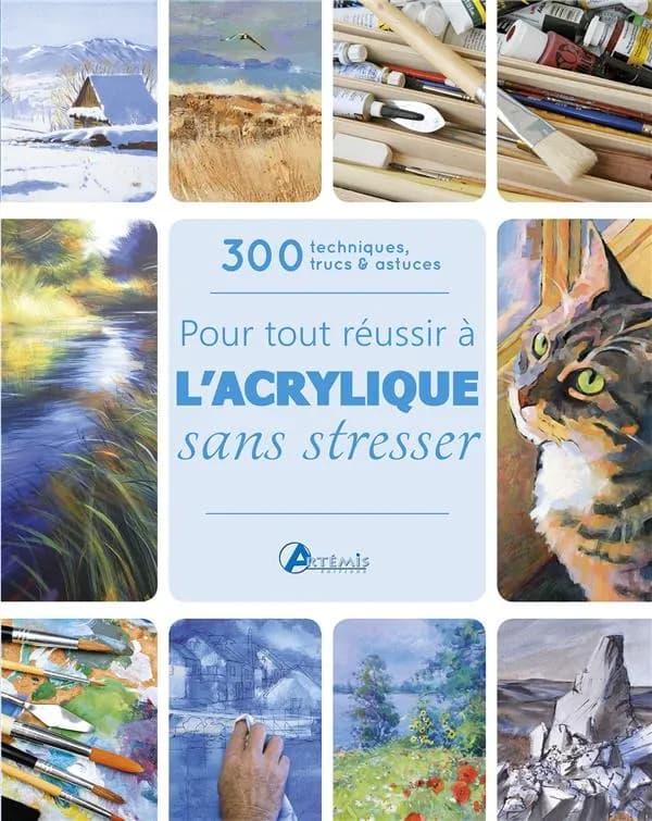 Pour tout réussir à l'acrylique sans stresser : 300 techniques, trucs et astuces