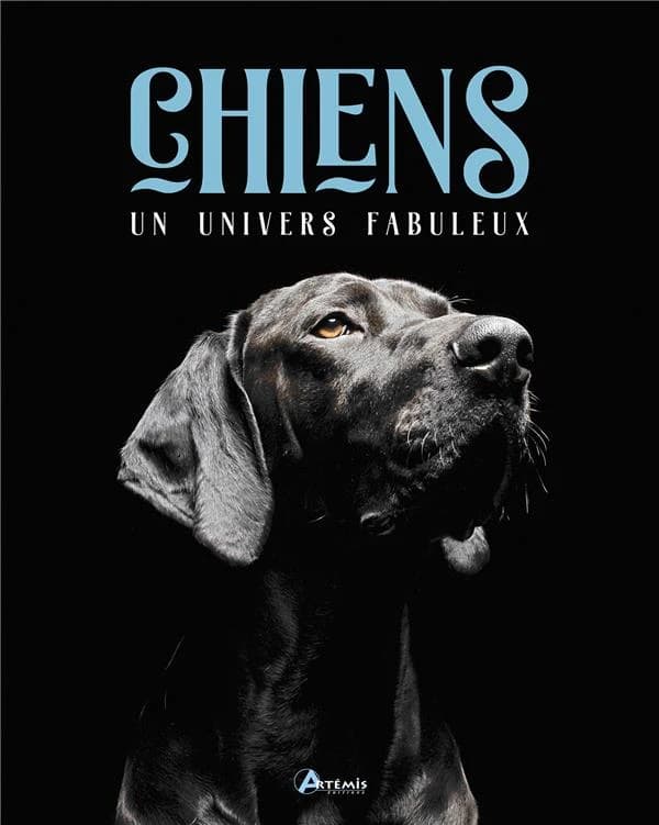 Chiens : un univers fabuleux