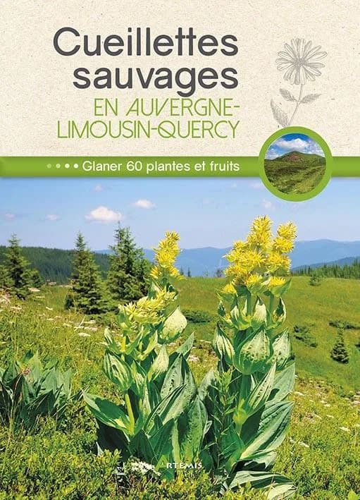 Cueillettes sauvages en Auvergne-Quercy-Limousin : 60 plantes et fruits à glaner