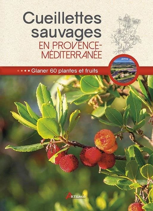 Cueillettes sauvages en Provence-Méditerranée : 60 plantes et fruits à glaner