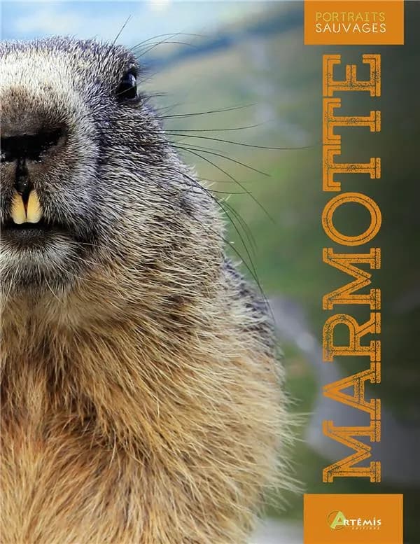 Marmotte ([Nouvelle éd.]) Maurice Dupérat