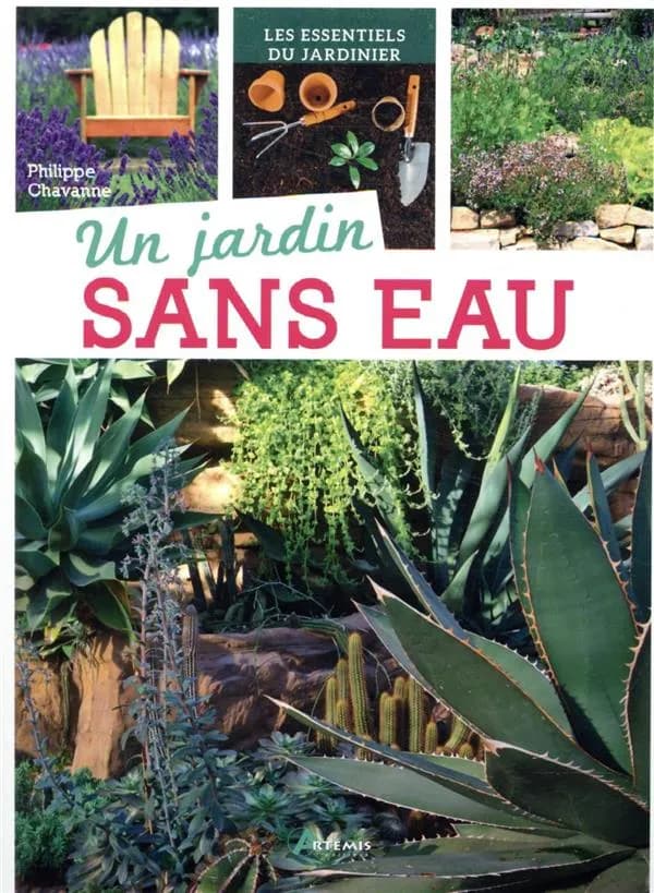Un jardin sans eau