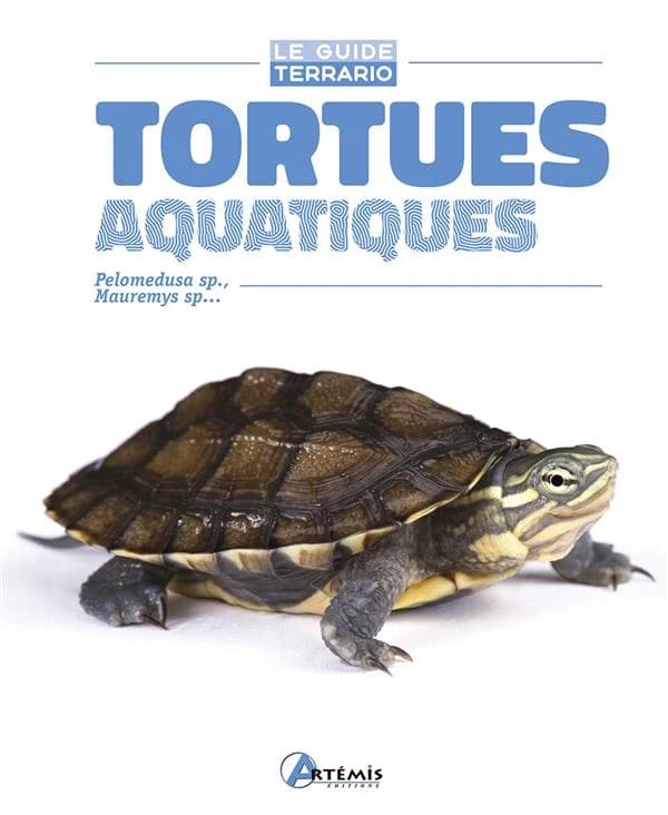 Tortues aquatiques : Pelomedusa sp., Mauremys sp.