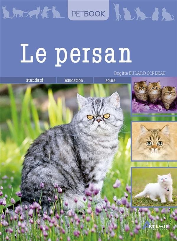 Le persan (Éd. revue) Brigitte Bulard Cordeau