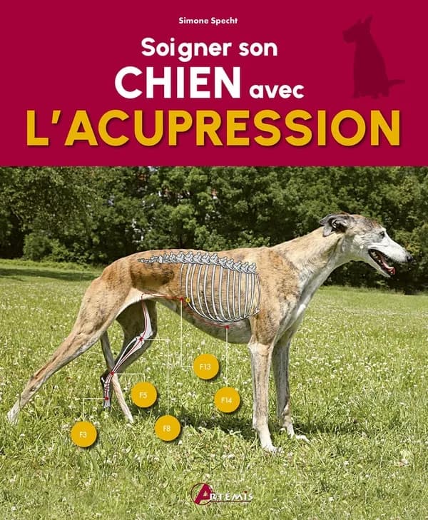 Soigner son chien avec l'acupression