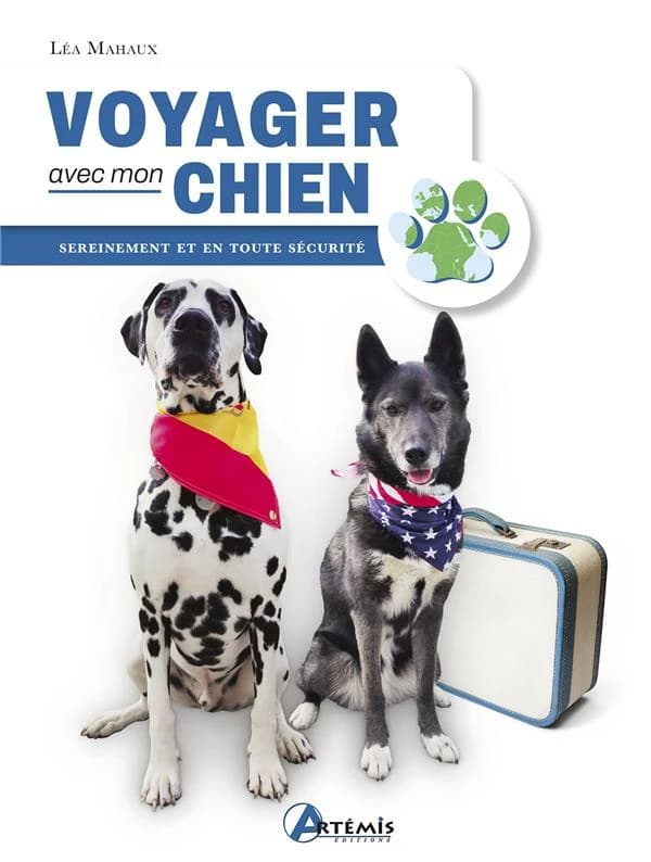 Voyager avec mon chien : sereinement et en toute sécurité
