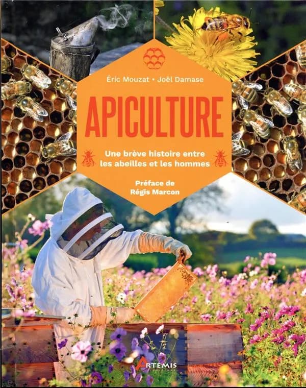 Apiculture : une brève histoire entre les abeilles et les hommes