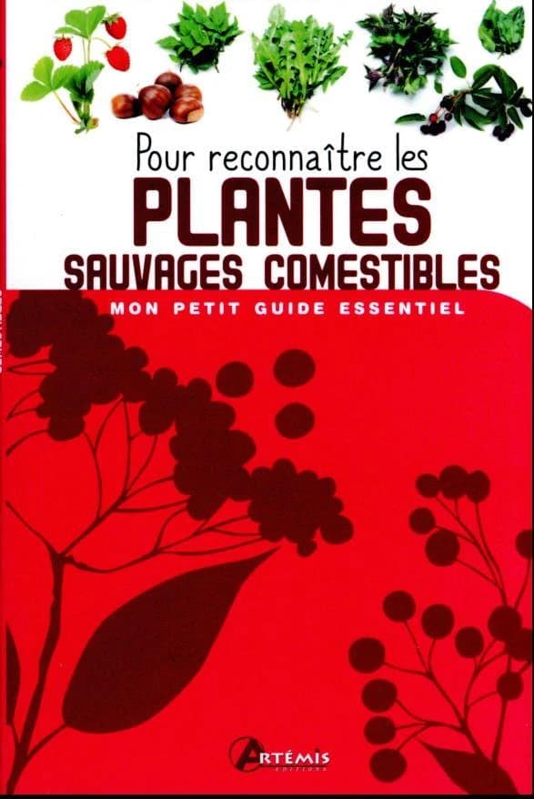 Pour reconnaître les plantes sauvages comestibles