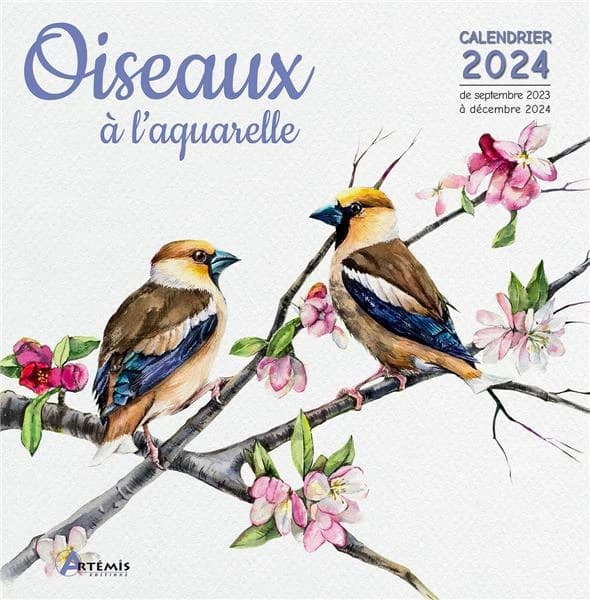 Oiseaux à l'aquarelle (édition 2024)