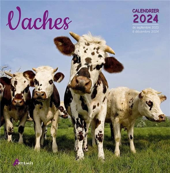 Vaches (édition 2024)