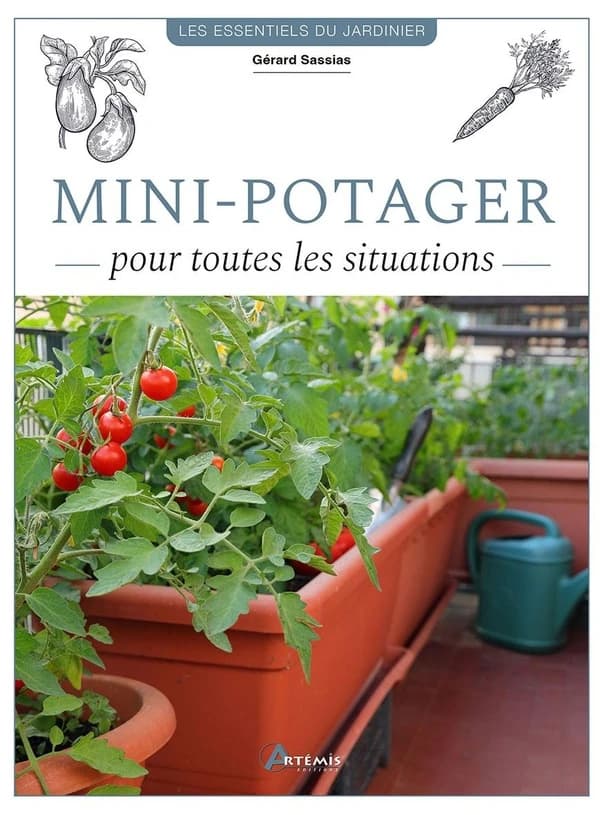 Mini-potagers : pour toutes les situations