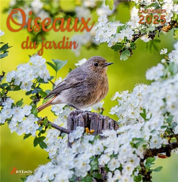 Oiseaux du jardin (édition 2025)