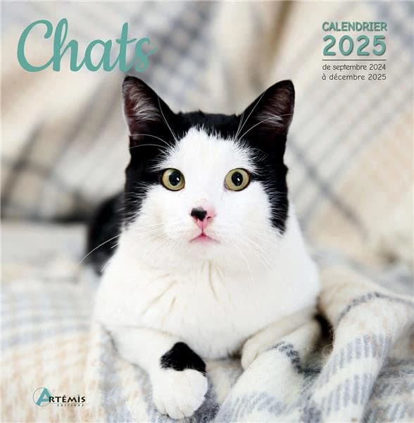 Chats (édition 2025)