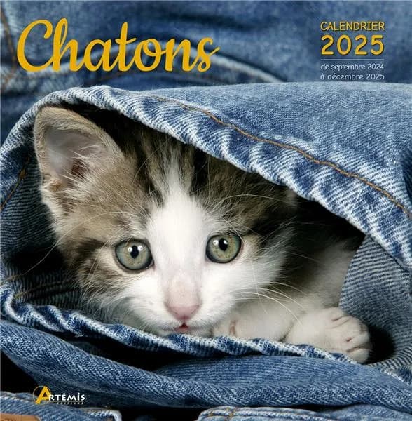 Chatons (édition 2025)
