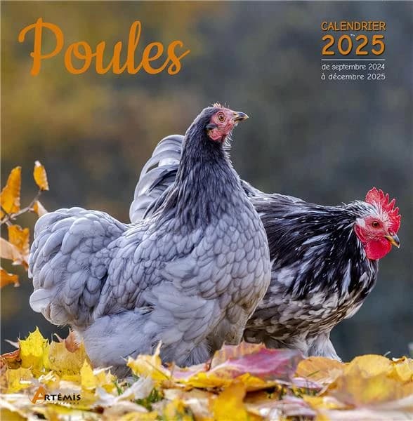 Poules : Calendrier de septembre 2024 à décembre 2025