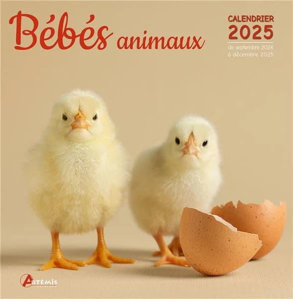 Bébés animaux (édition 2025)