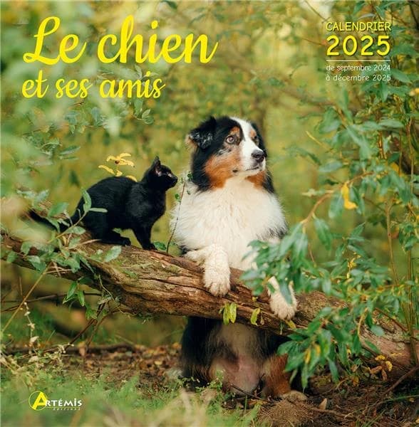 Le chien et ses amis (édition 2025)