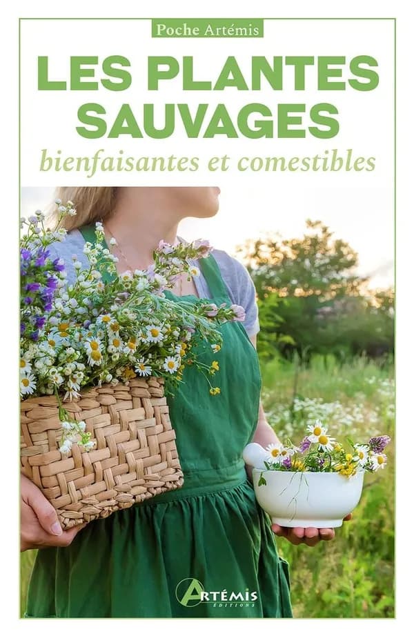 Les plantes sauvages : bienfaisantes et comestibles